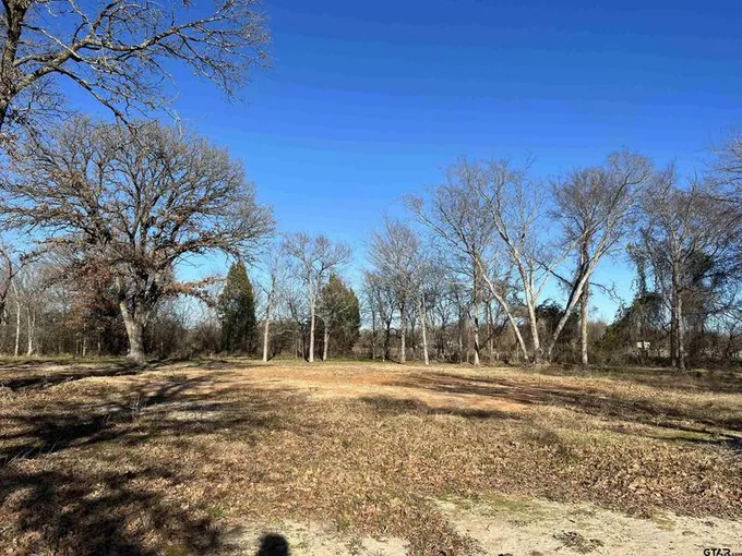 225 Harris Blvd, Malakoff, TX 75148 for Sale