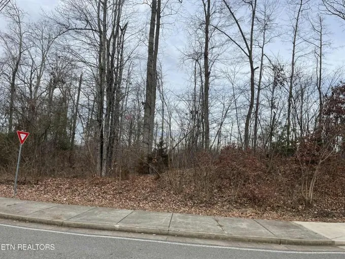 0 HENSON RD, Knoxville, TN 37921 Farm For Sale  MLS# 1248519 for Rent
