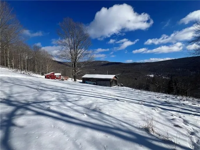 Roxbury, Delaware County, NY House for sale Property ID: 418694319