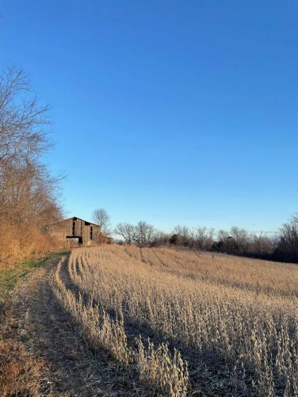 999 CLARKSON HILL ROAD, Maysville, KY 41056 Farm For Sale  MLS# 23024029