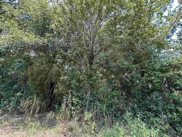 Lot 3 Oleander, Lumberton, TX 77657 for Sale