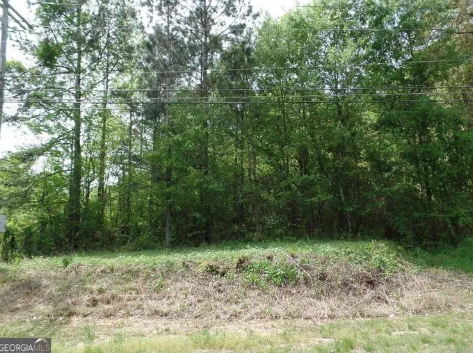 3098 Hwy 154, Newnan, GA 30265 - MLS 20170939 for Sale