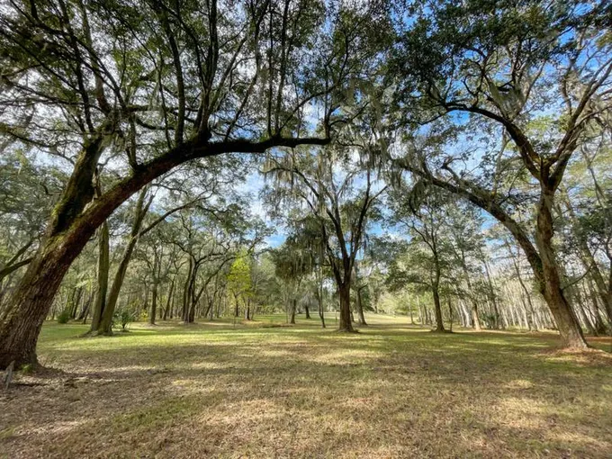 1700 LIBERIA RD, Wadmalaw Island, SC 29487 Land For Sale  MLS# 23026689