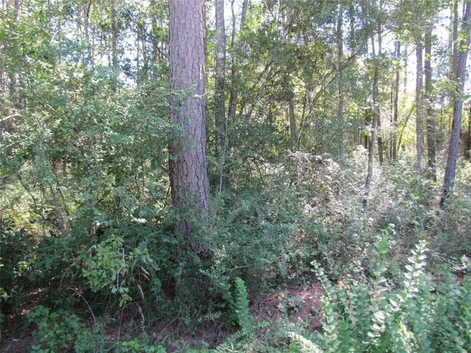 Lots 126 & 127 Meadow Wood, Magnolia, TX 77355 for Sale