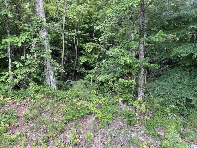 2256 DEANS FERRY RD # 4, WARRIOR, AL 35180 Land For Sale  MLS# 1357430
