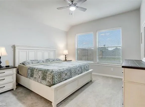 29326 Sweet Orange Ct - Katy, TX 77494 - Home For Rent