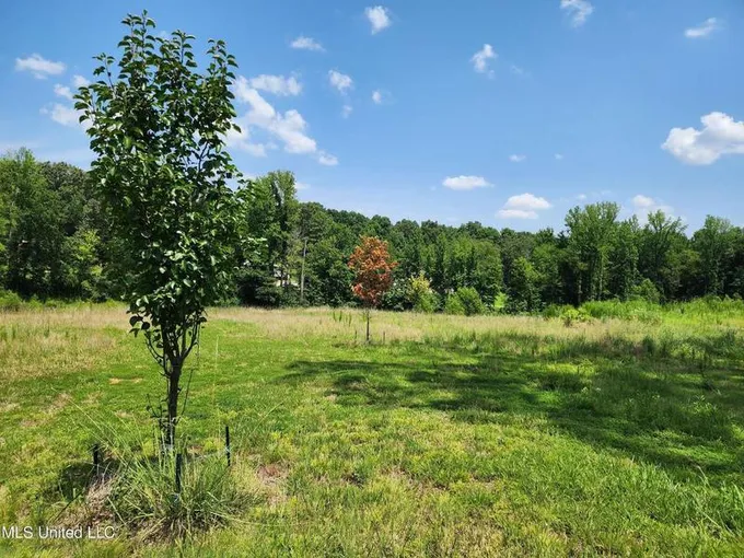 4710 Dixie Lynn Drive, Southaven, MS 38671  620581437 for Sale