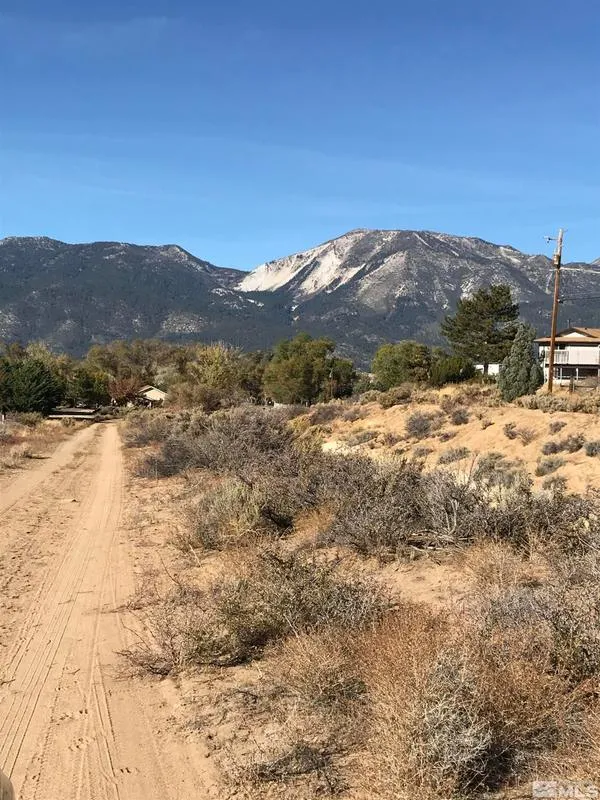 3160 Clark Drive, Washoe Valley, NV 89704 for Sale