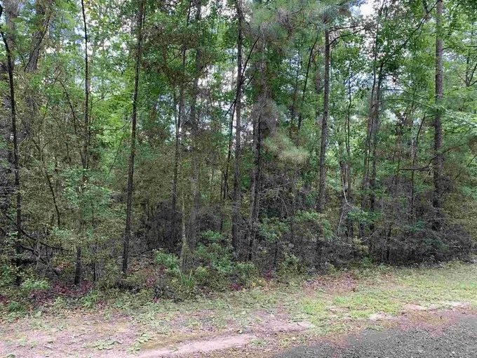 Lots 171-172 Sec. E-5 Trevino, Brookeland, TX 75931 for Sale