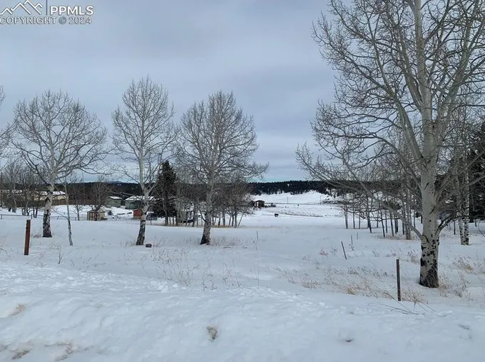 247 Will Scarlet Dr, Divide, CO 80814 - MLS 5854228 for Sale