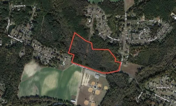 0 Buck Swamp Rd, Pikeville, NC 27863 - MLS 2535529 for Sale