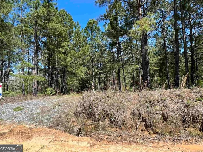 1620 Mayberry Road, Dublin, GA 31021 for Sale
