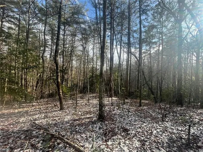 0 ARP ROAD, Mineral Bluff, GA 30559 Land For Sale  MLS# 7336971