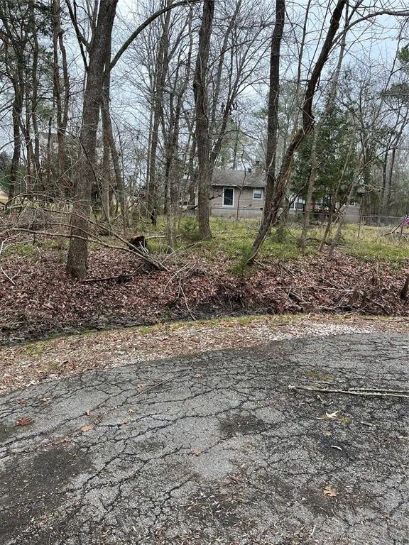 0 Pine Cove Drive, Coldspring, TX 77331 for Sale
