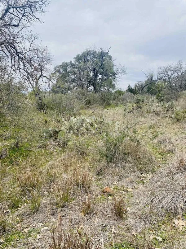 Burnet, Burnet County, TX Undeveloped Land, Homesites for sale Property ID: 418691661