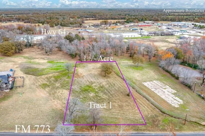 Tract 1 Tbd Farm To Market 279, Ben Wheeler, TX 75754 - MLS 20497112 for Sale