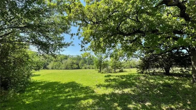 Tbd State Hwy 320 (+/-12.5 acres), Lott, TX 76656 for Sale