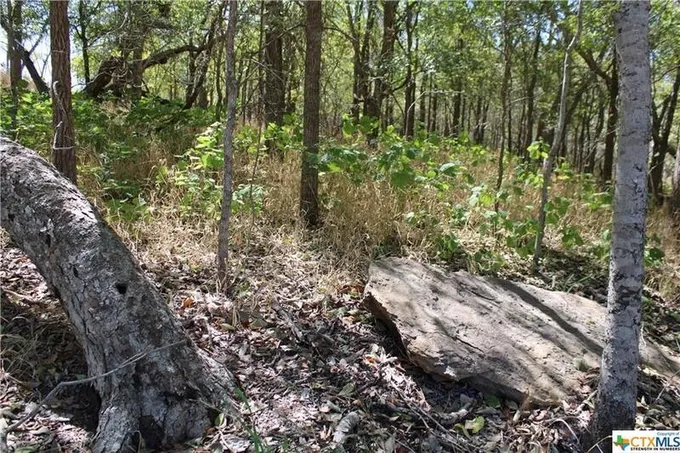 Bastrop, Bastrop County, TX Undeveloped Land, Homesites for sale Property ID: 418298433