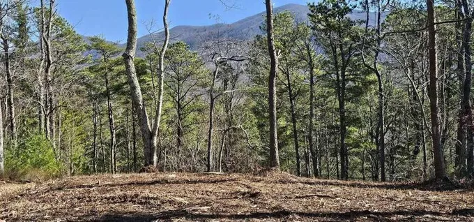 00 Lower Smithfield Road, Tellico Plains, TN 37385  614331122 for Sale