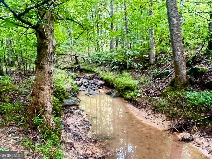 1130-lot 7 Apalachee Meadows Drive, Madison, GA 30650 for Sale