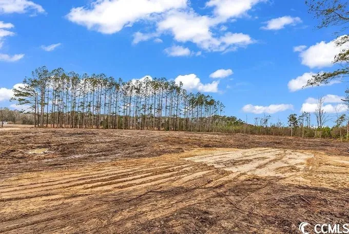Loris, Horry County, SC Undeveloped Land, Homesites for sale Property ID: 418762988