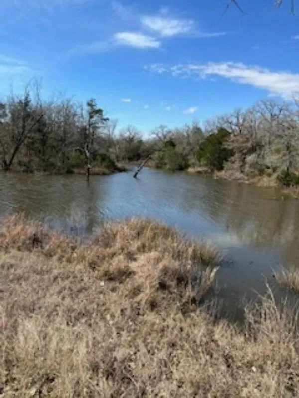 1132 Cr 418 Out Of Area Tx 78959, Waelder, TX 78959 for Sale