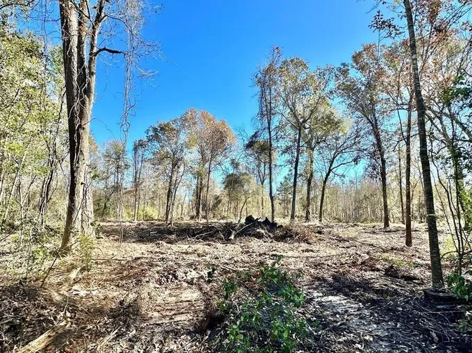 001 China Rd N, China, TX 77713 - MLS 56716276 for Sale