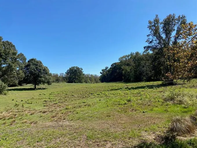 TBD 011 County Rd 242, Oakwood, TX 75855 for Sale