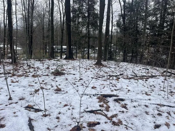 2115 SUGARIDGE DRIVE, NORTH MUSKEGON, MI 49445  613342984 for Sale