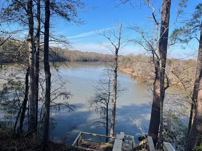 Baxley, Appling County, GA Undeveloped Land, Lakefront Property, Waterfront Property, Homesites for sale Property ID: 418630647
