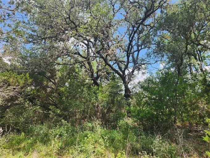 1700 Lime Kiln Rd #3, San Marcos, TX 78666 for Sale