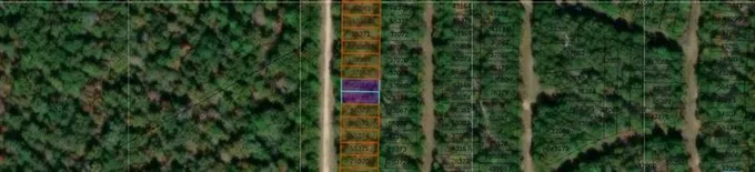 TBD Pineneedle, Livingston, TX 77351 for Sale