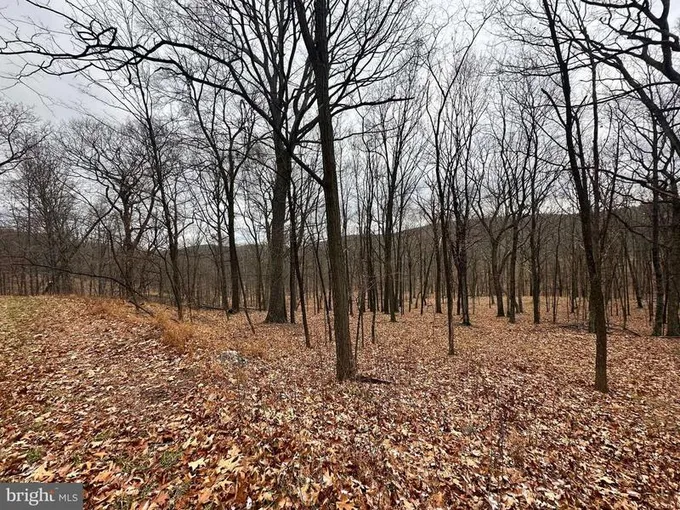 NANCY HANKS DRIVE (LOT #38), NEW CREEK, WV 26743  612653261 for Sale