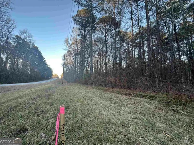 0 MACON HIGHWAY, Bishop, GA 30621 Land For Sale  MLS# 20162425