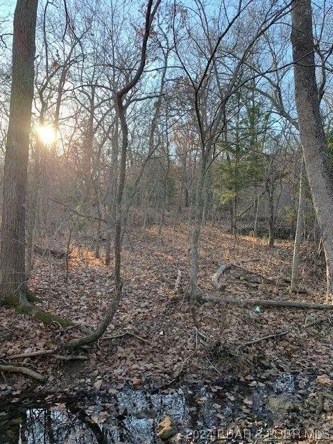 Roach, Camden County, MO Undeveloped Land for sale Property ID: 418609325