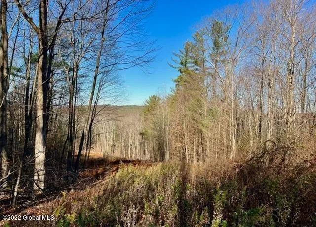 L75 Whitetail Trace Road, Unit LOT 14, Canaan, NY 12029 for Sale