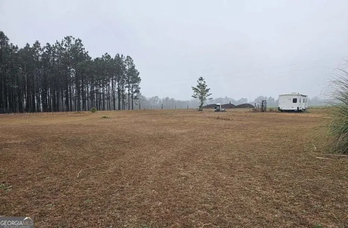 Axson, Atkinson County, GA Undeveloped Land, Homesites for sale Property ID: 418916785