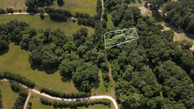 TBD Laura St, Trinity, TX 75862 for Sale