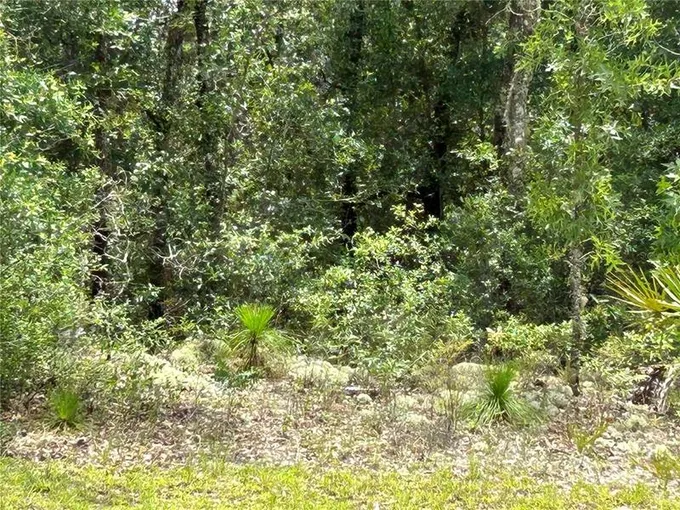 89 Southwest Circle Ocala, Ocala, FL 34473 for Sale