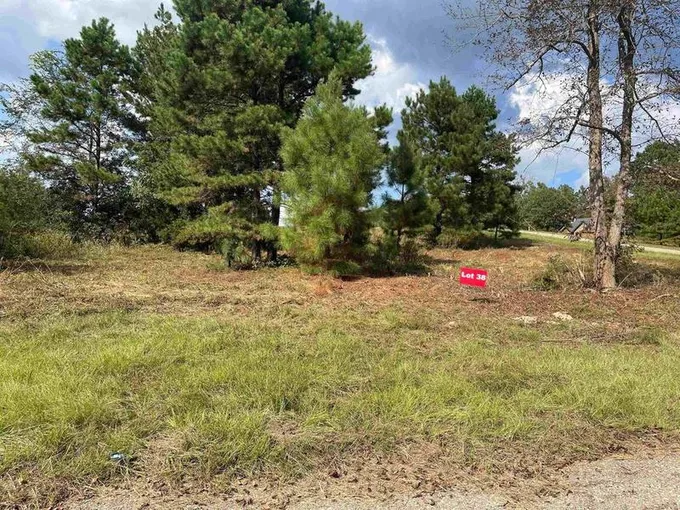 Tbd Lot 38 CR 2204 D & FM1797, Tatum, TX 75691 for Sale