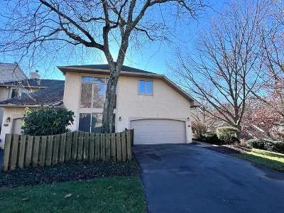 Copper Beech Cir for Sale