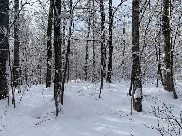 3I WESTOVER RD, Jay, VT 05859 Land For Sale  MLS# 4979725