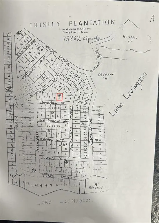 Lot 5 Thornton St, Trinity, TX 75862 for Sale