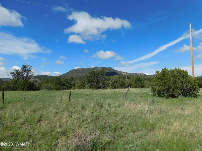 24 & 26 COUNTY ROAD 4128, Eagar, AZ 85925  614135540 for Sale