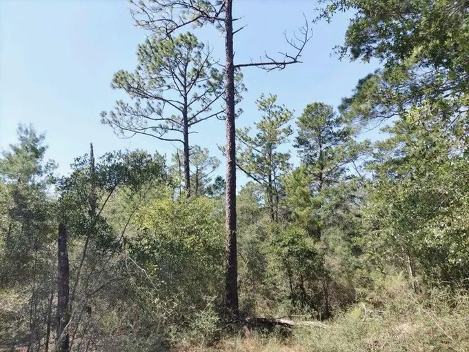 0 Waldo Road, Crestview, FL 32539 for Sale