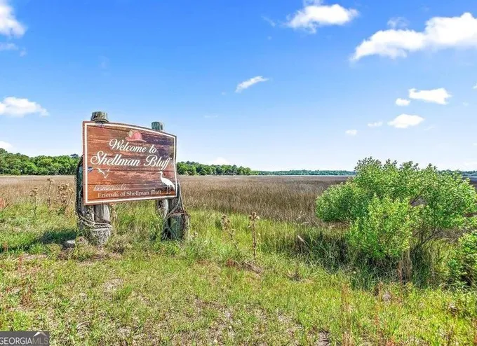 Lot 543 Cooper's Point, Townsend, GA 31331 - MLS 20156429 for Sale