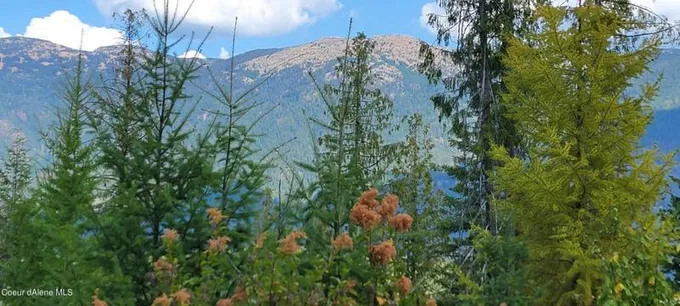 NNA ENCHANTED LANE TRACT 5, Moyie Springs, ID 83845 Land For Sale  MLS# 24-112