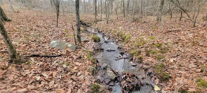 2.47 Acres +/- High Rock RD, Rudy, AR 72952  620716280 for Sale