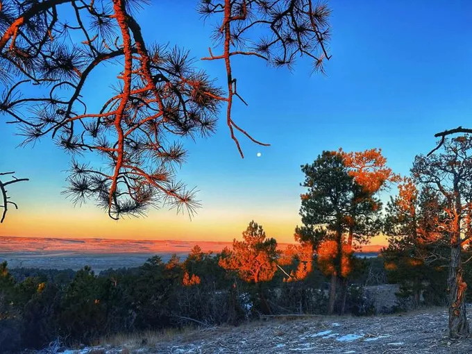 Moorcroft, Crook County, WY Undeveloped Land for sale Property ID: 418885102