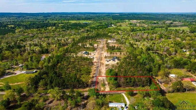 Lot 15 Eagle Creek Dr, Diana, TX 75640 for Sale